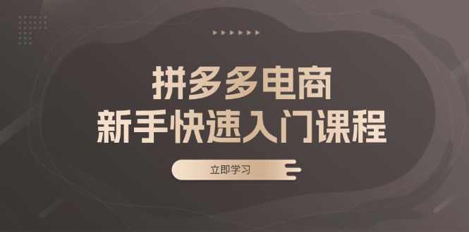 拼多多电商新手快速入门课程：涵盖基础、实战与选款，助力小白轻松上手-秋鱼网创