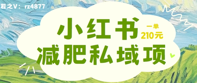 小红书减肥粉，私域变现项目，一单就达210元，小白也能轻松上手【揭秘】-秋鱼网创