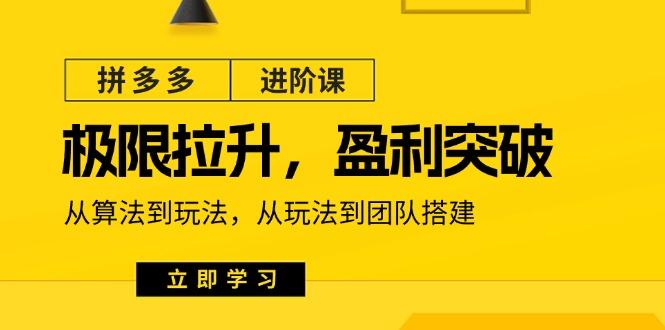 拼多多·进阶课：极限拉升/盈利突破：从算法到玩法 从玩法到团队搭建-18节-秋鱼网创