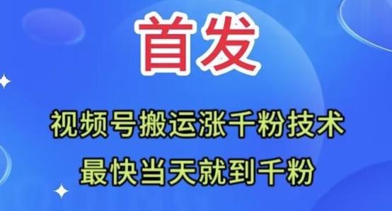 全网首发：视频号无脑搬运涨千粉技术，最快当天到千粉【揭秘】-秋鱼网创