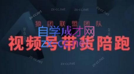 狼团联盟·2024视频号带货-秋鱼网创