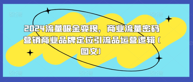 2024流量吸金变现，商业流量密码营销商业品牌定位引流品运营逻辑(图文)-秋鱼网创