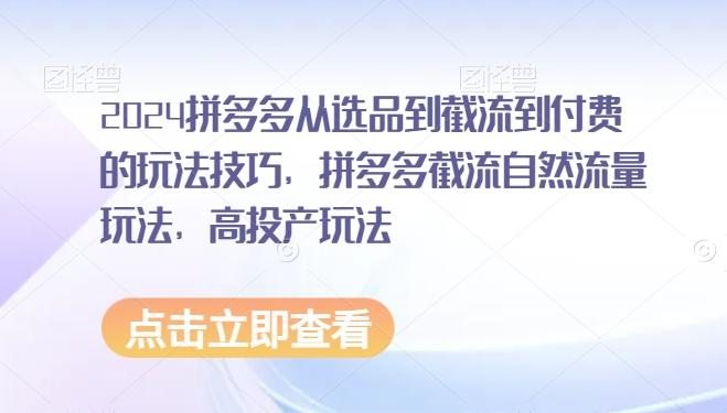 2024拼多多从选品到截流到付费的玩法技巧，拼多多截流自然流量玩法，高投产玩法-秋鱼网创