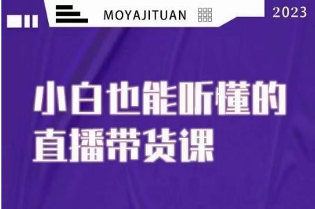 大威本威·能听懂的直播带货课，小白也能听懂，20节完整-秋鱼网创