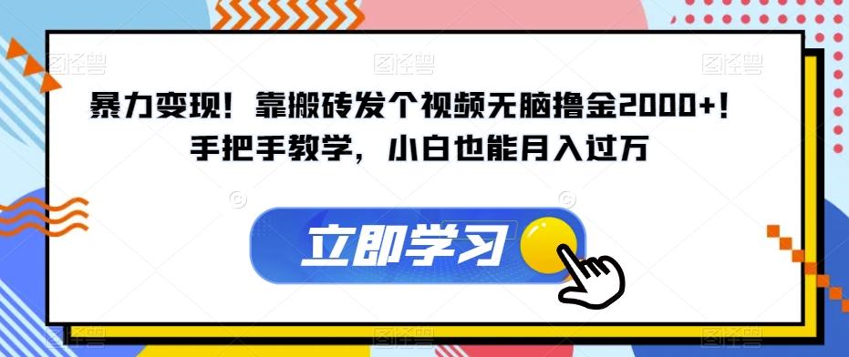 暴力变现！靠搬砖发个视频无脑撸金2000+！手把手教学，小白也能月入过万【揭秘】-秋鱼网创