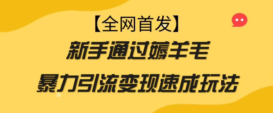【全网首发】新手通过薅羊毛暴力引流变现速成玩法-秋鱼网创