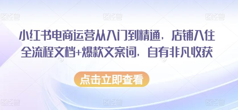 小红书电商运营从入门到精通,店铺入住全流程文档+爆款文案词,自有非凡收获