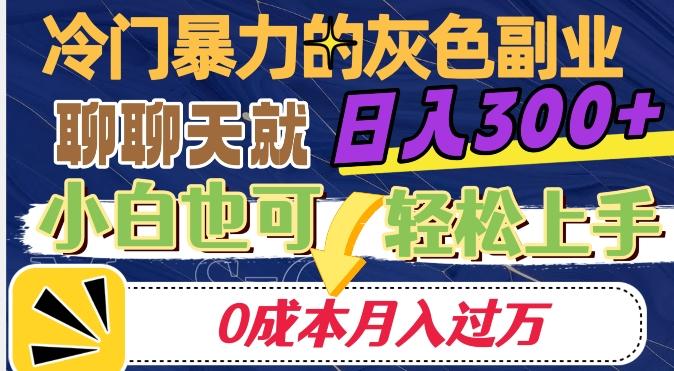 冷门暴利的副业项目，聊聊天就能日入300+，0成本月入过万【揭秘】-秋鱼网创