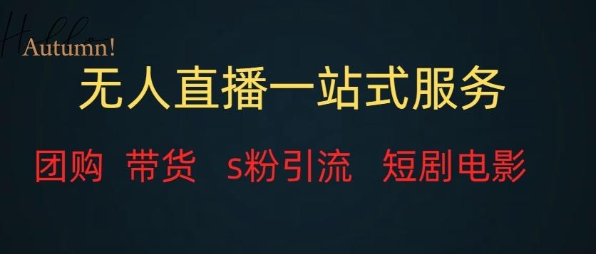 无人直播一站式服务（教程以及变现方式）-秋鱼网创