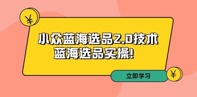 拼多多培训第33期：小众蓝海选品2.0技术-蓝海选品实操！-秋鱼网创