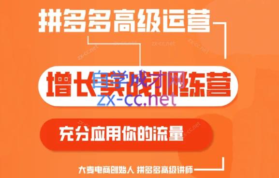大麦老师·拼多多单品爆款打造课程(更新6月)-秋鱼网创