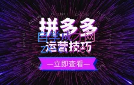 力辛电商·拼多多强付费店群玩法-秋鱼网创