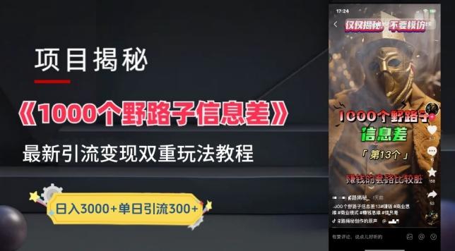 一千个野路子信息差最新玩法教程-变现+引流的玩法具体拆解【揭秘】-秋鱼网创