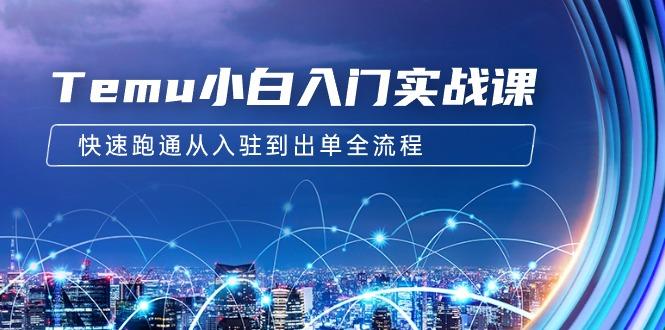(9295期)Temu小白入门实战课：跨境拼多多电商培训 快速跑通从入驻到出单全流程-12节-秋鱼网创