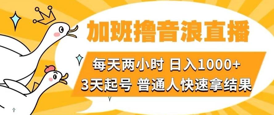 加班撸音浪直播，每天两小时，日入1000+，直播话术才3句，3天起号，普通人快速拿结果【揭秘】-秋鱼网创
