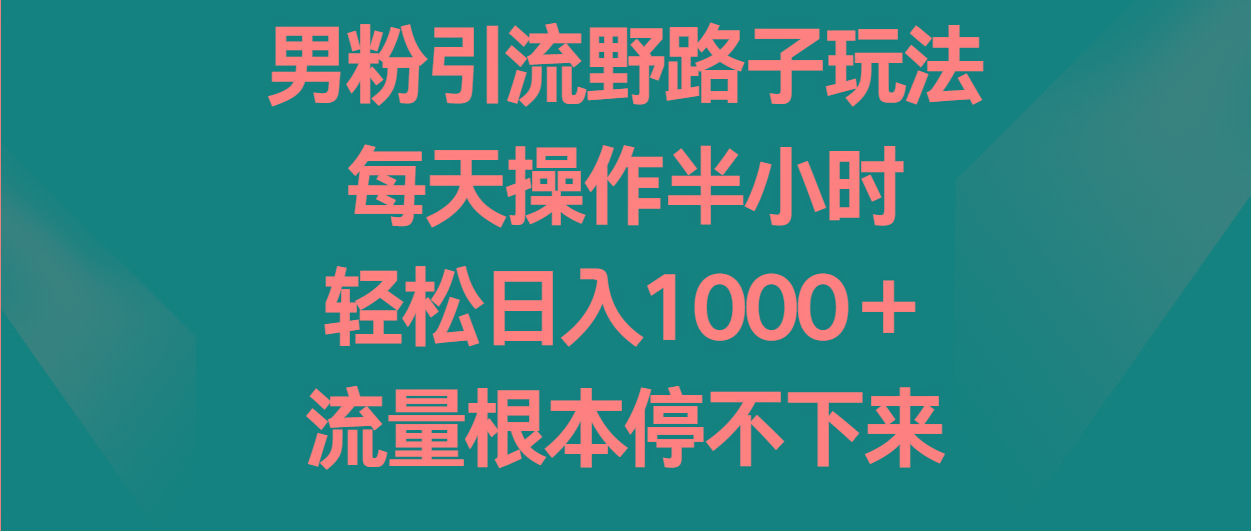 男粉引流野路子玩法，每天操作半小时轻松日入1000＋，流量根本停不下来-秋鱼网创