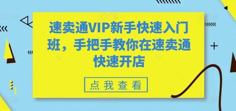 速卖通VIP新手快速入门班，手把手教你在速卖通快速开店-秋鱼网创