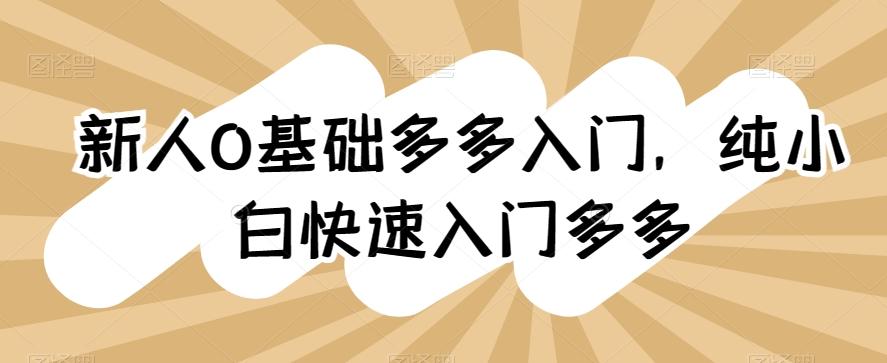 新人0基础多多入门，​纯小白快速入门多多-秋鱼网创