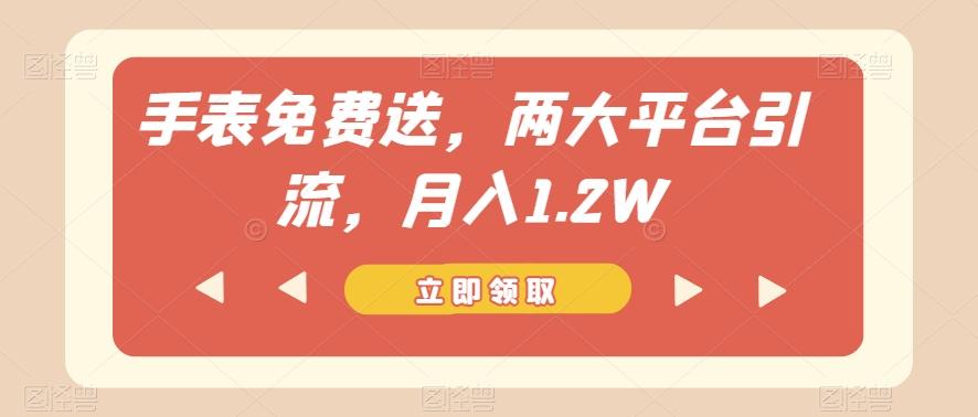 手表免费送，两大平台引流，月入1.2W【揭秘】-秋鱼网创