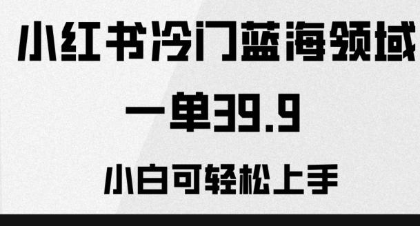 小红书冷门蓝海领域，一单39.9，小白可轻松上手-秋鱼网创