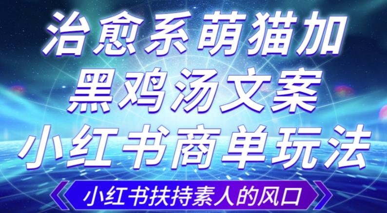 治愈系萌猫加+黑鸡汤文案，小红书商单玩法，3~10天涨到1000粉，一单200左右-秋鱼网创