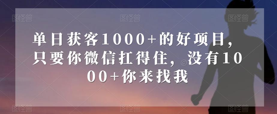 单日获客1000+的好项目，只要你微信扛得住，没有1000+你来找我【揭秘】-秋鱼网创