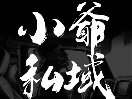 小爷·私域项目操盘手-秋鱼网创
