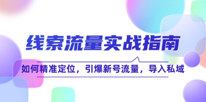 线 索 流 量-实战指南：如何精准定位，引爆新号流量，导入私域-秋鱼网创