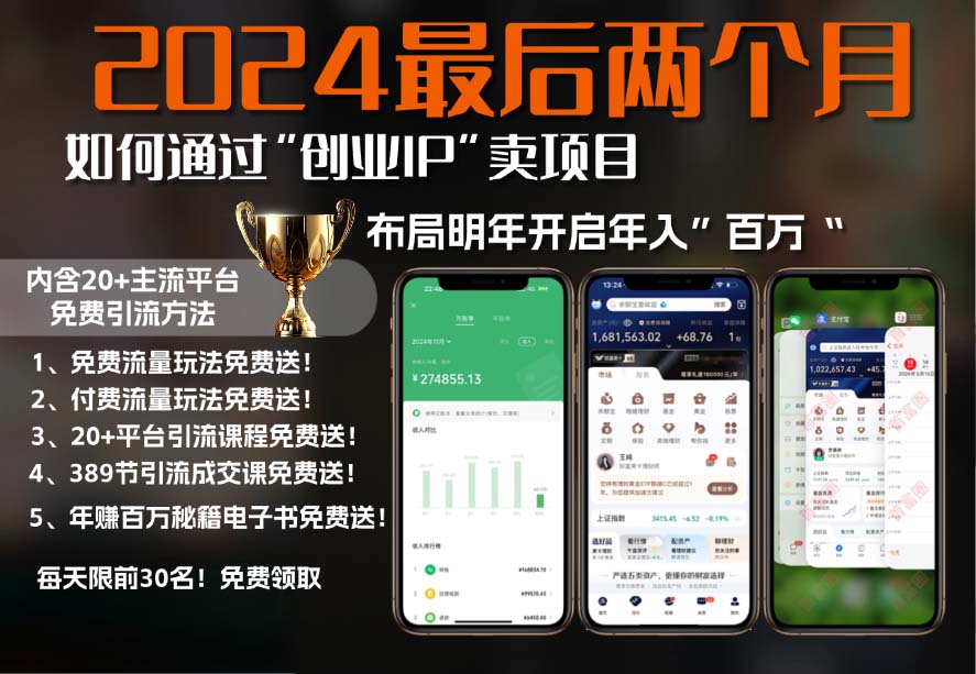 2024最后两个月如何通过”创业IP“卖项目年入”百万“,创业IP+最强引流...-秋鱼网创