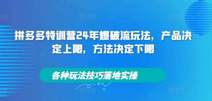 拼多多特训营24年爆破流玩法，产品决定上限，方法决定下限，各种玩法技巧落地实操-秋鱼网创