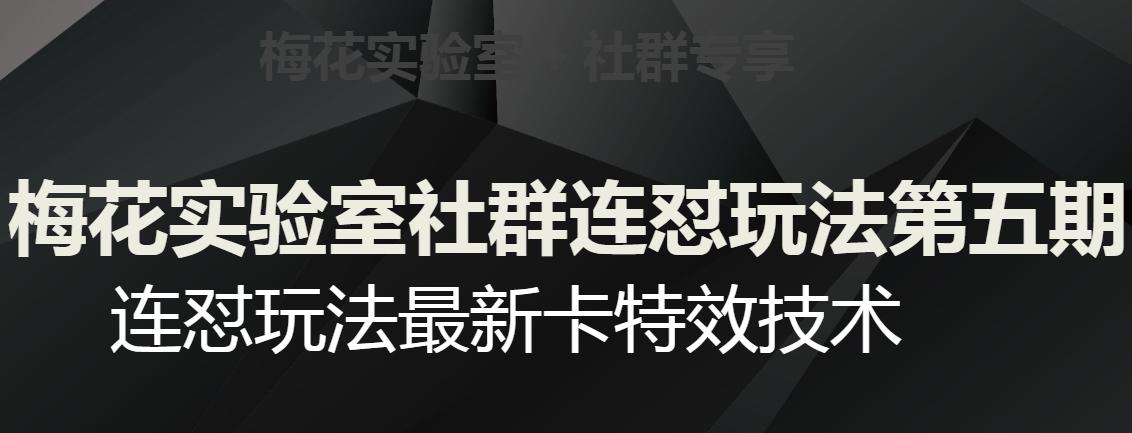 梅花实验室社群连怼玩法第五期，视频号连怼玩法最新卡特效技术-秋鱼网创