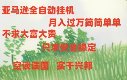 亚马逊全自动浏览挂机-秋鱼网创