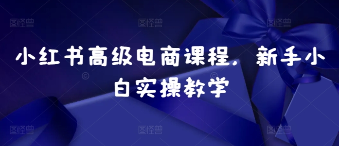 小红书高级电商课程，新手小白实操教学-秋鱼网创