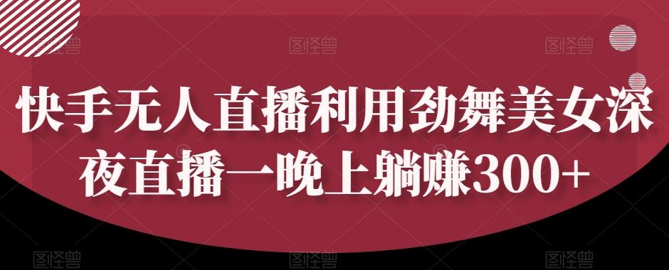 快手无人直播利用劲舞美女深夜直播一晚上躺赚300+-秋鱼网创
