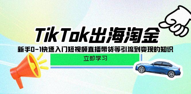 (10035期)TikTok-出海淘金，新手0-1快速入门短视频直播带货等引流到变现的知识-秋鱼网创