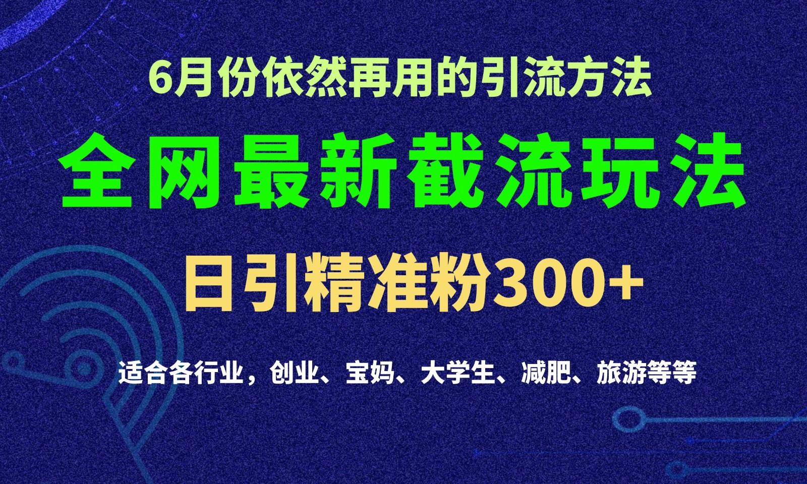 2024全网最新截留玩法,每日引流突破300+-秋鱼网创