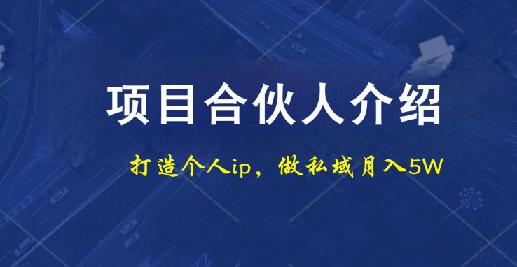 项目合伙人项目，打造个人IP，做私域月入5W，小白勿扰-秋鱼网创