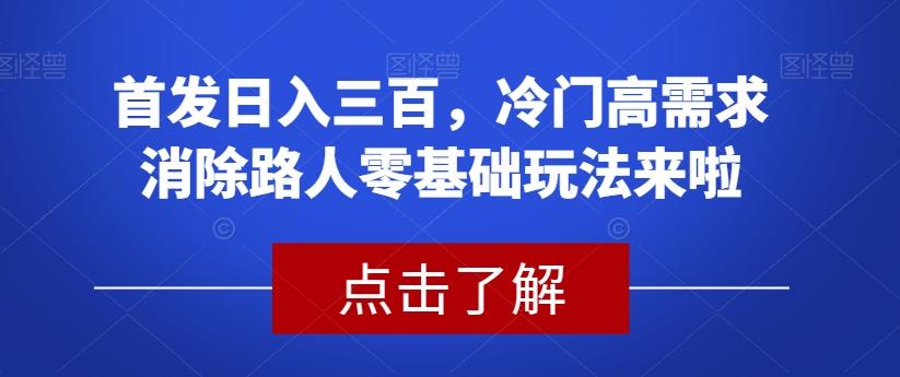 首发日入三百，冷门高需求消除路人零基础玩法来啦【揭秘】-秋鱼网创