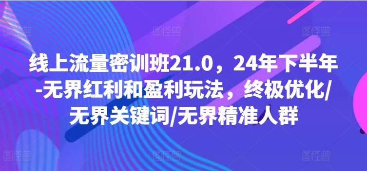 线上流量密训班21.0,24年下半年-无界红利和盈利玩法,终极优化/无界关键词/无界精准人群