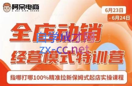 阿呆电商·全店动销经营模式特训营(线下录音+思维导图)-秋鱼网创