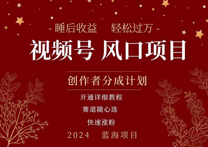 拥有睡眠收益的微信视频号大风口项目，轻松月入过万+，多赛道选择，可…-秋鱼网创