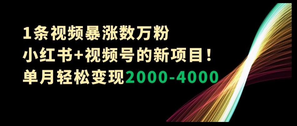 1条视频暴涨数万粉–小红书+视频号的新项目！单月轻松变现2000-4000【揭秘】-秋鱼网创