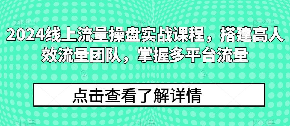 2024线上流量操盘实战课程，搭建高人效流量团队，掌握多平台流量-秋鱼网创