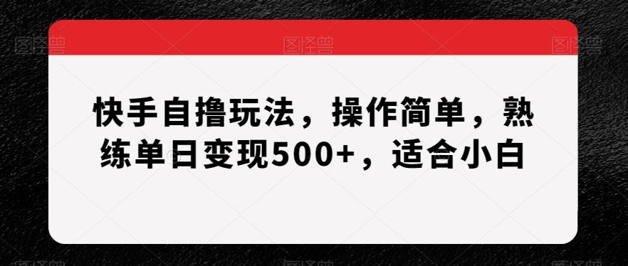 快手自撸玩法，操作简单，熟练单日变现500+，适合小白【揭秘】-秋鱼网创