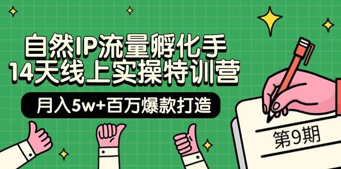 (9881期)自然IP流量孵化手 14天线上实操特训营【第9期】月入5w+百万爆款打造 (74节)-秋鱼网创