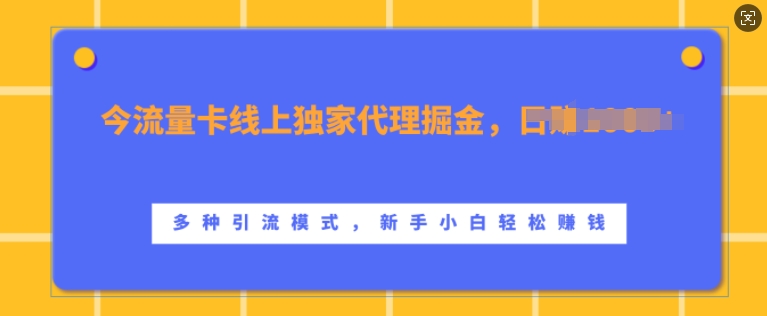 流量卡线上独家代理掘金，日入1k+ ，多种引流模式，新手小白轻松上手【揭秘】-秋鱼网创