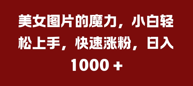 美女图片的魔力，小白轻松上手，快速涨粉，日入几张【揭秘】-秋鱼网创