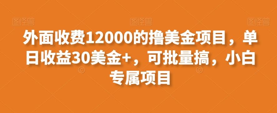 外面收费12000的撸美金项目，单日收益30美金+，可批量搞，小白专属项目-秋鱼网创
