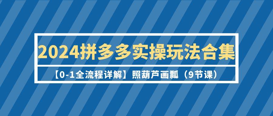 (9559期)2024拼多多实操玩法合集【0-1全流程详解】照葫芦画瓢(9节课)-秋鱼网创