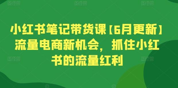 小红书笔记带货课【6月更新】流量电商新机会，抓住小红书的流量红利-秋鱼网创